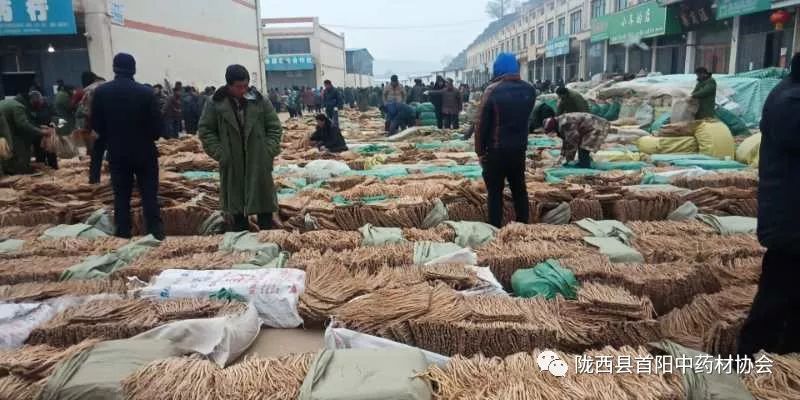 渭源药材市场最新价格动态与价值探寻，中药材市场动态概览