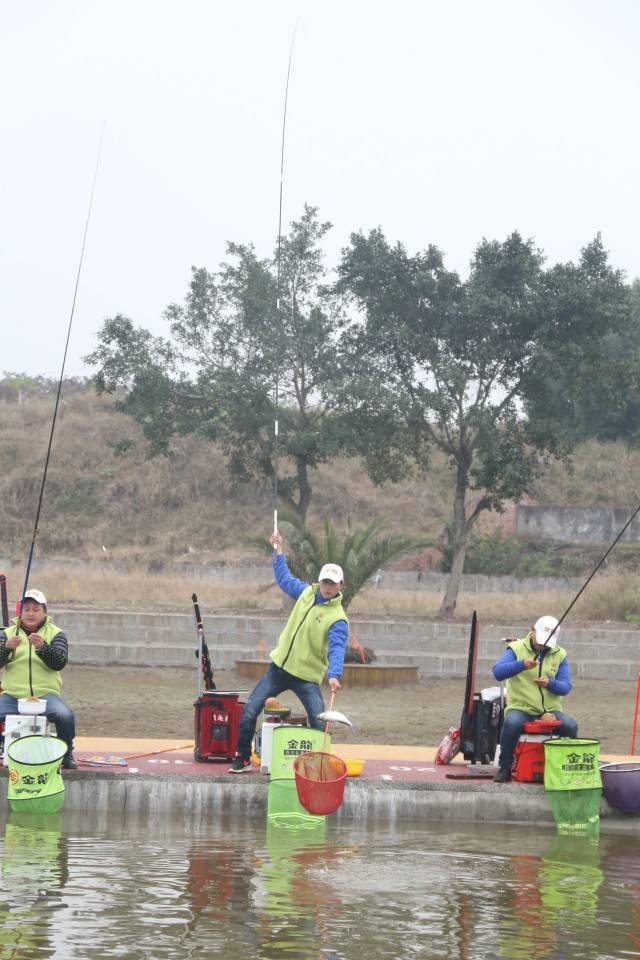 最新内江钓鱼网——钓鱼爱好者的交流与分享平台