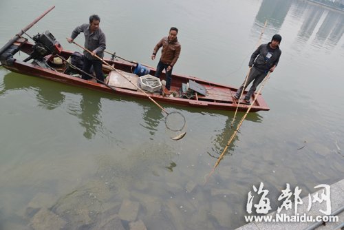 探秘深海,最新海上电鱼视频揭示小巷中的隐秘世界