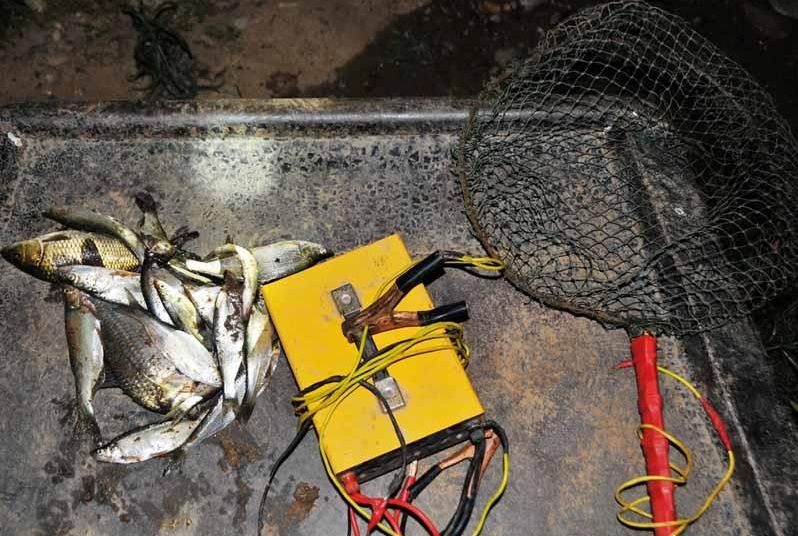 探秘深海,最新海上电鱼视频揭示小巷中的隐秘世界