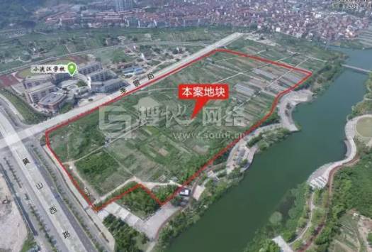 探索最新小港的神秘角落之旅