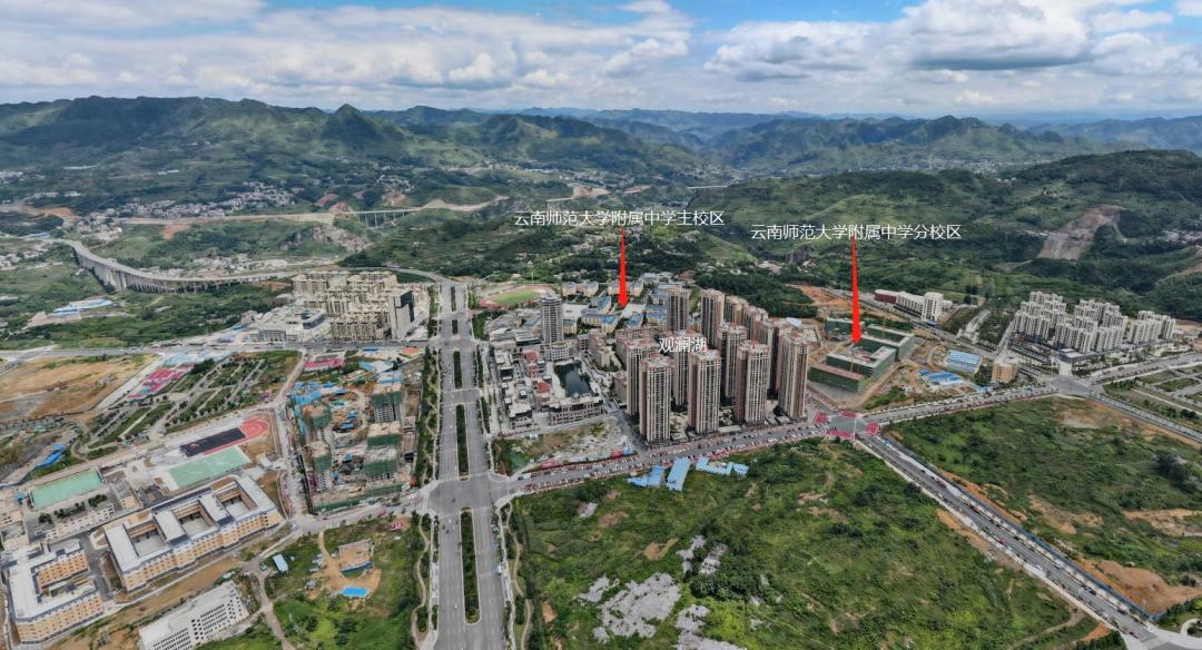 最新镇雄,友情与家的温馨日常故事