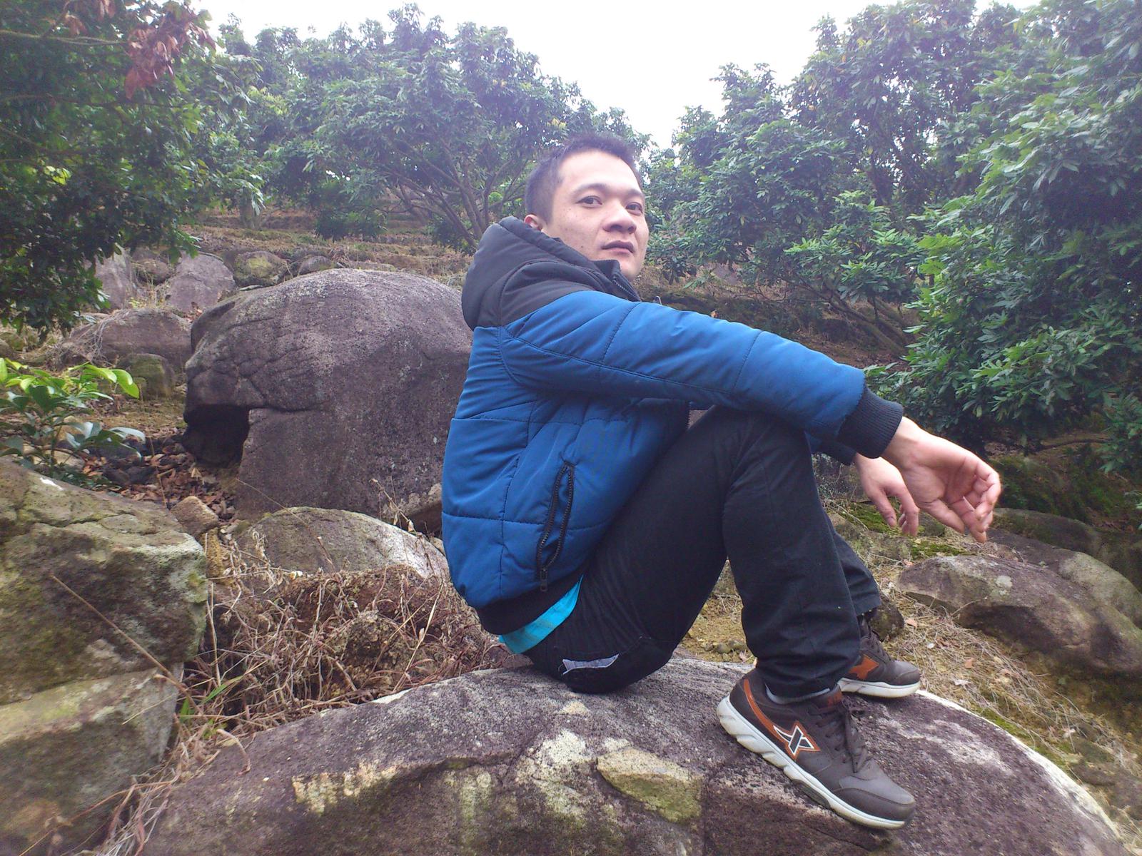 阿洪最新,科技、娱乐与社会交汇点的探索