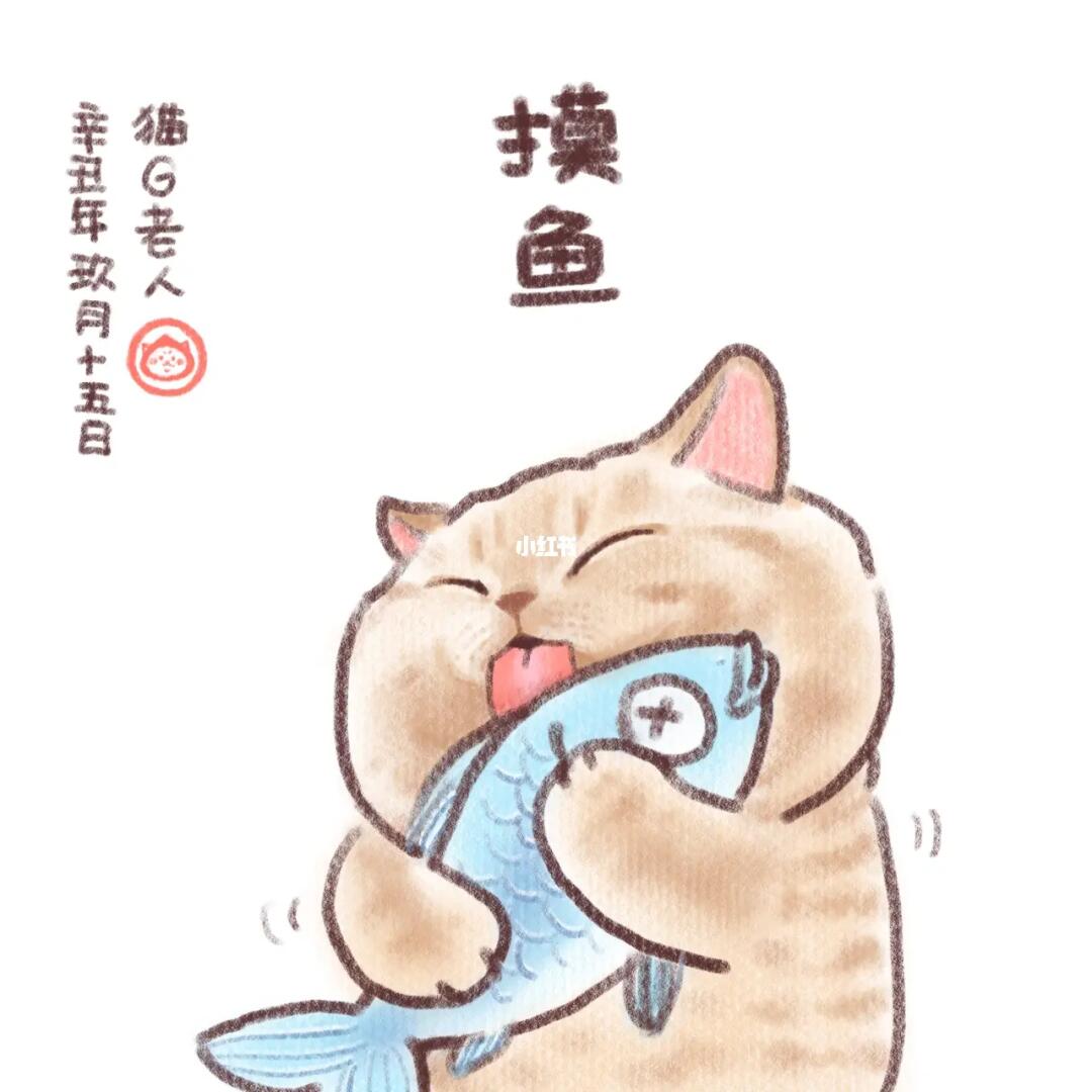 摸鱼宝盒,科技生活的新摸鱼神器,开启摸鱼新篇章