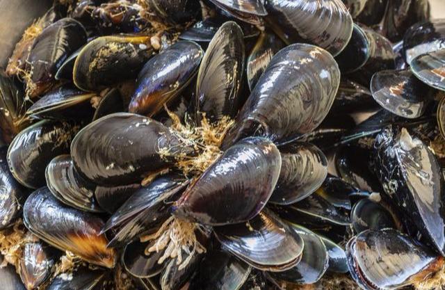 海虹最新观点分析与阐述