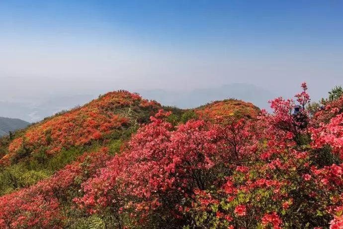 高科技产品重塑城市生活,引领未来出行新纪元,高架最新技术展望