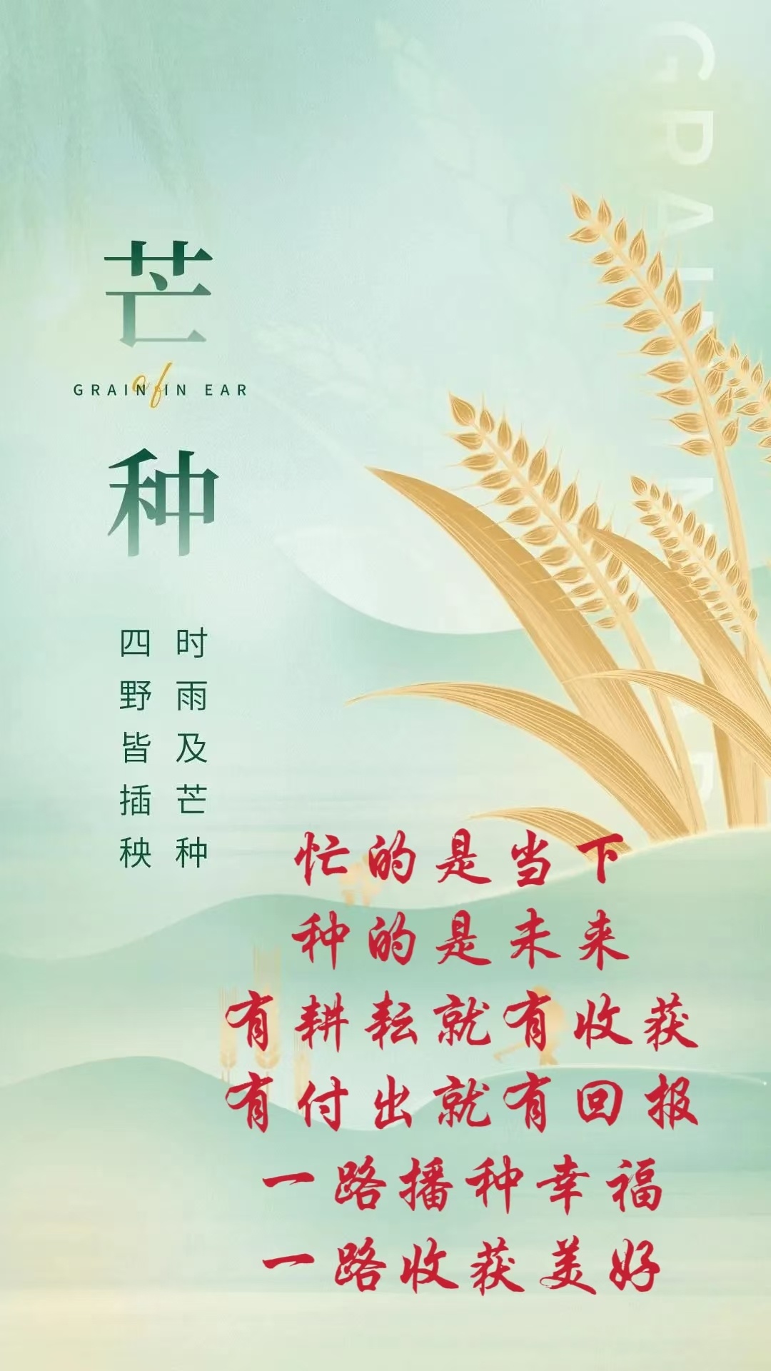 芒种最新详细步骤指南，如何完成任务或学习新技能？
