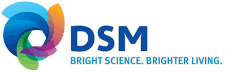 DSM最新发现,小巷中的隐藏瑰宝揭秘