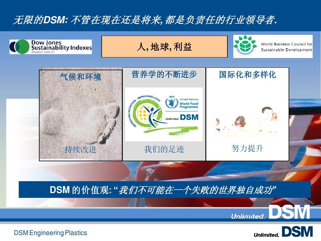 DSM最新发现,小巷中的隐藏瑰宝揭秘