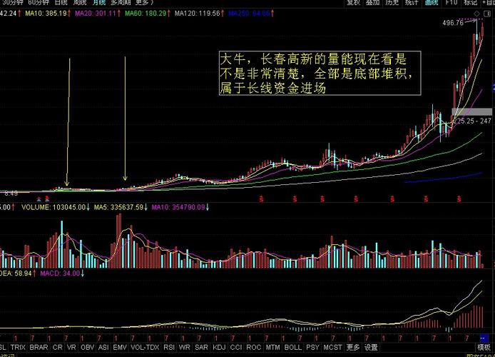 长舂高新最新股价,长舂高新最新股价,科技巨擘,引领未来生活新潮