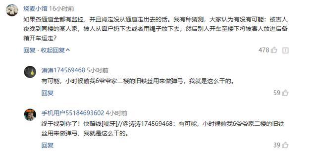 浙江失踪女士最新进展,多方视角的深度分析与探讨