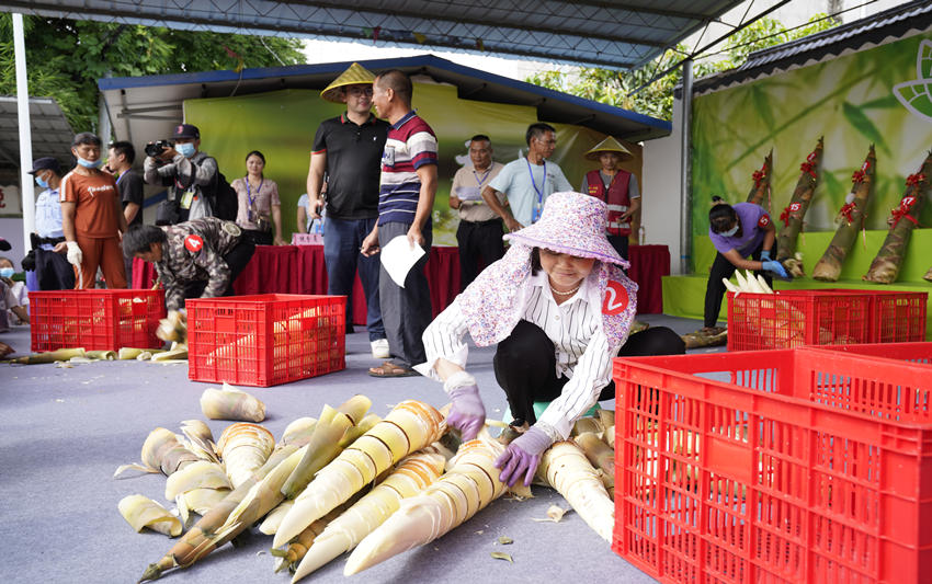 小巷深处的筍比赛味觉盛宴