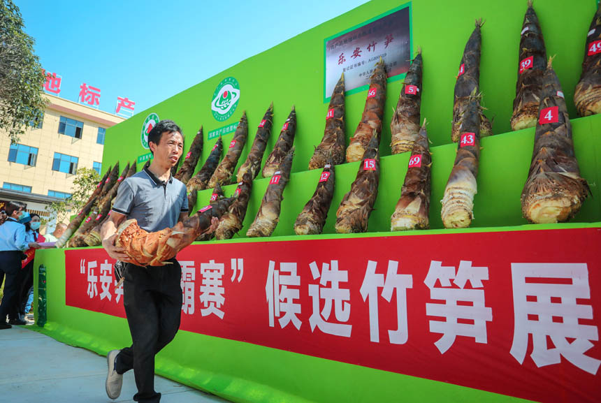 小巷深处的筍比赛味觉盛宴