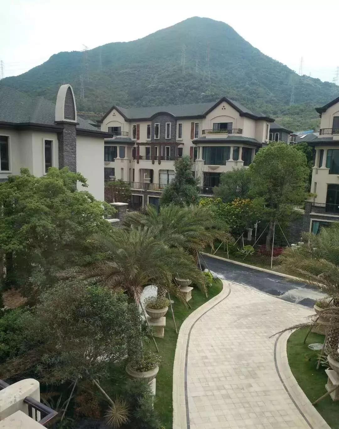 深圳天音电子最新招聘,时代的脉搏与行业翘楚的招募启事