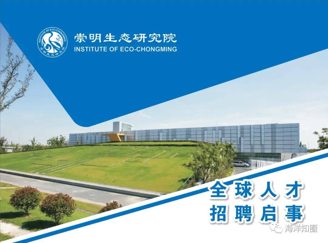 崇明人才招聘信息,开启转变之旅,点燃梦想之火