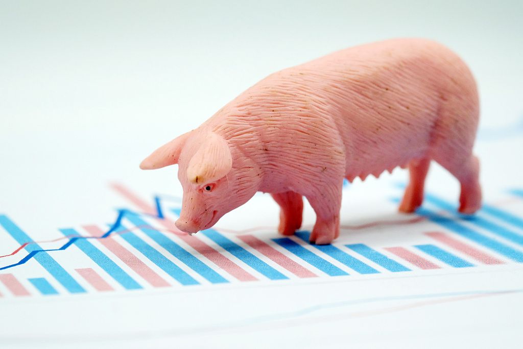 上市小猪,背景历程与时代地位解析