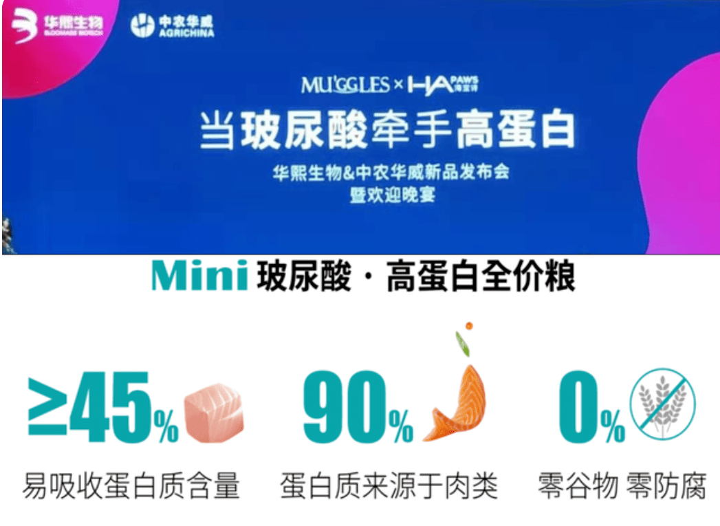 金圣新品速递,引领未来的创新力量,打造全新体验