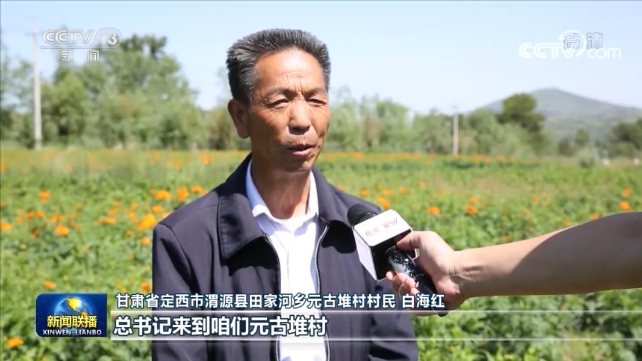 陈兴官场风云新篇章,权力、智慧与决策的艺术探索