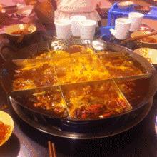 老九最新动态火热来袭!