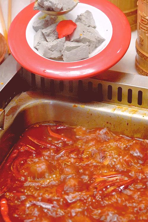 老九最新动态火热来袭!