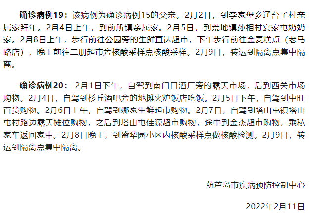 辽宁病例最新情况详解，初学者与进阶用户查询指南