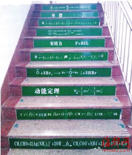 梯子资讯速递,心灵与自然的奇妙之旅