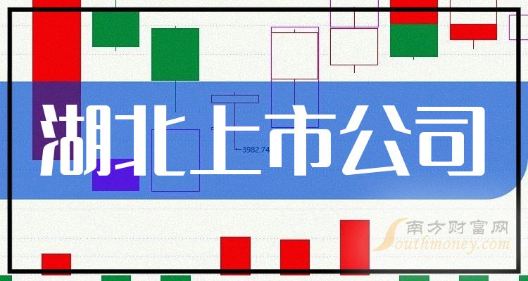 湖北和韵股票最新动态,走向资本市场的卓越发展之路