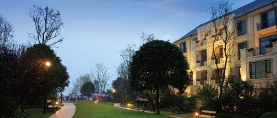 探寻花屿城中的繁花盛景资讯