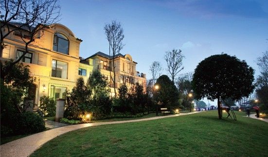 探寻花屿城中的繁花盛景资讯