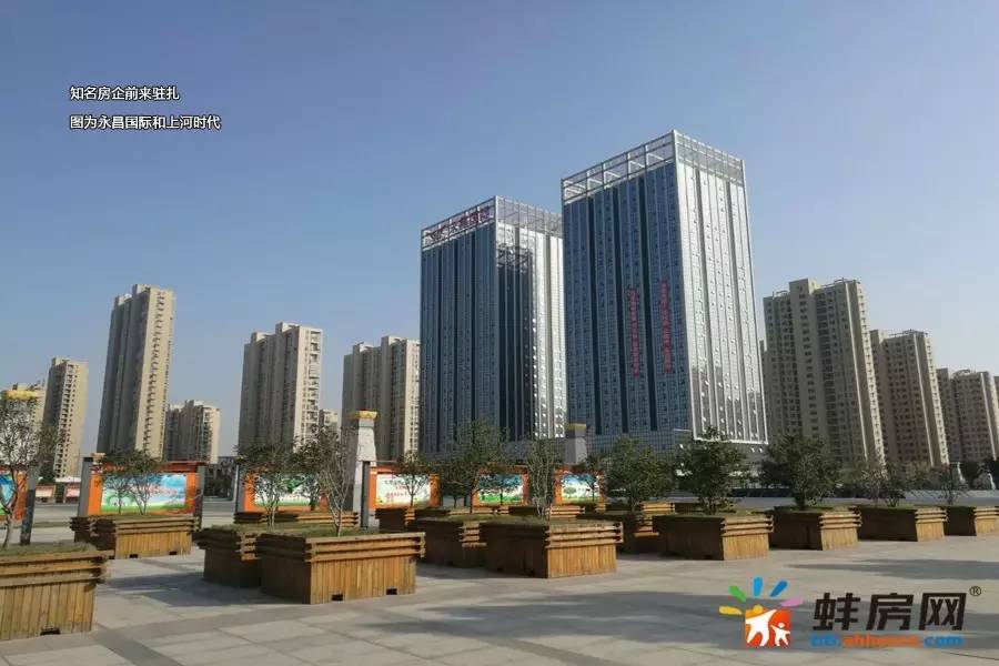 蚌埠马城最新动态及观点论述揭秘