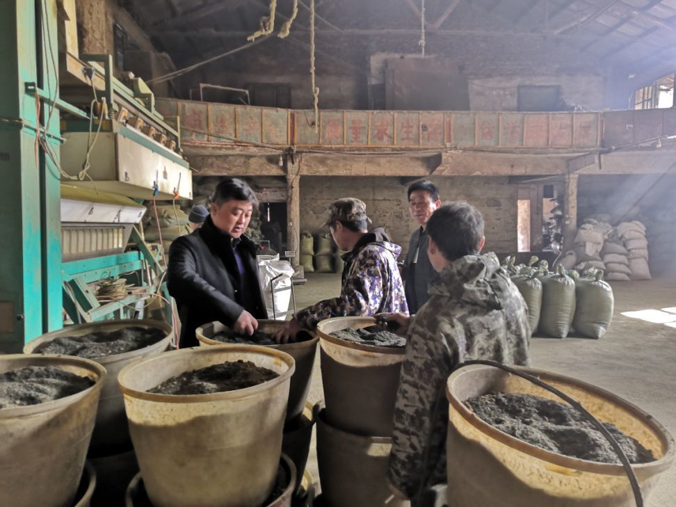 鱼形山街道最新动态,邻里间的温馨日常进展