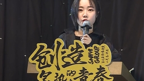 孙亚萍,演艺之路的璀璨之星