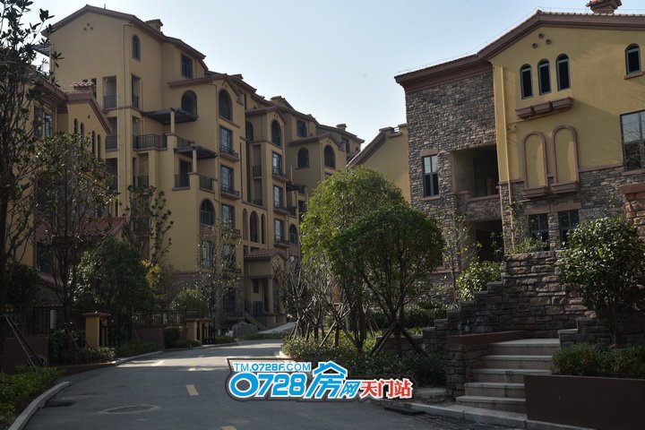 天门西雅半岛最新资讯,日常温馨趣事一窥