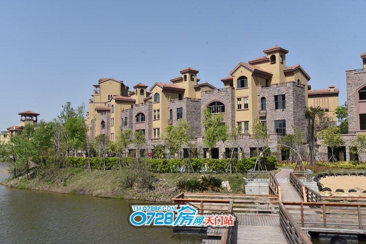 天门西雅半岛最新资讯,日常温馨趣事一窥