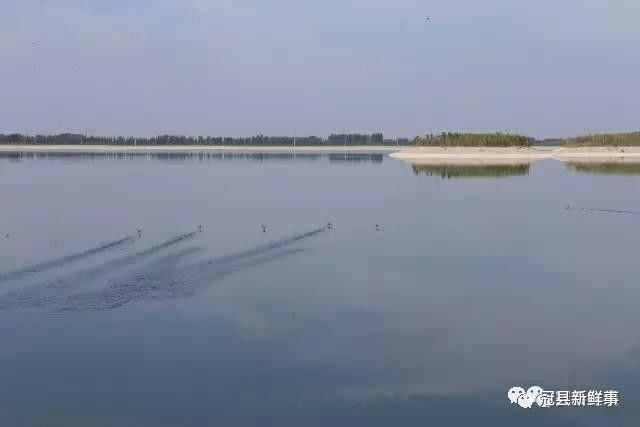 冠县辛集水库最新动态揭秘,最新进展与消息汇总