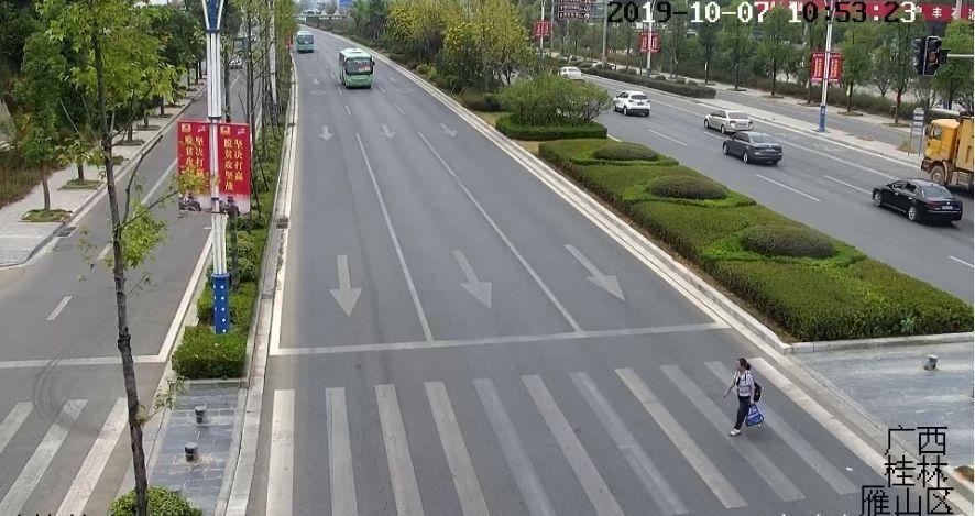 最新返程信息详解,必备小贴士,错过即遗憾!