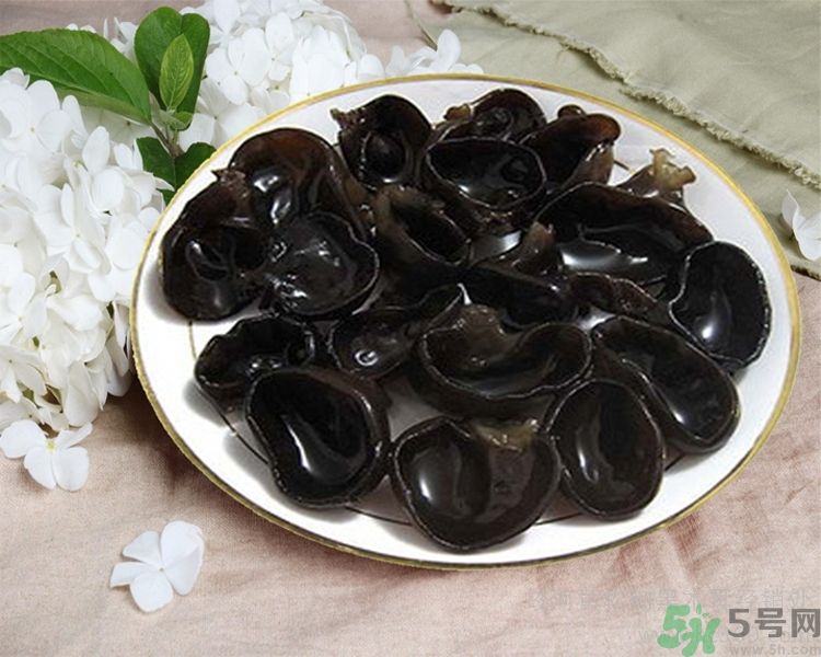 木耳价格最新动态与一场自然美景的探寻之旅