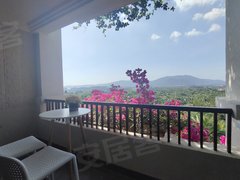 沧州亚龙湾最新房产价格走势及市场行情分析