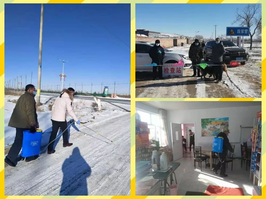 病菌最新动态,力量变化与自信成长的旋律