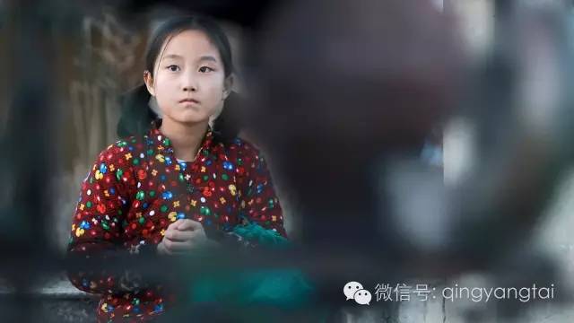 赵小宁的表演艺术指南,从入门到进阶的学习之路