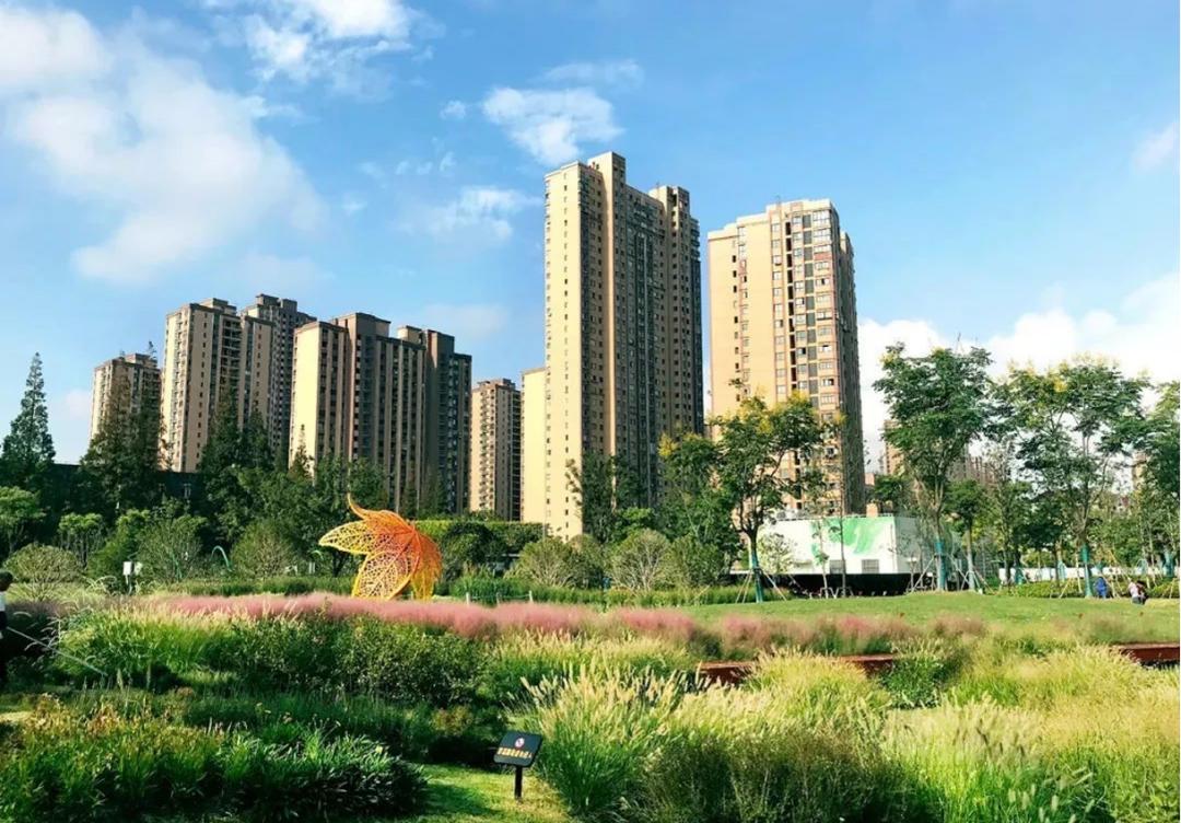 虹口区动迁最新消息,城市更新进展迅速 🔥🌆