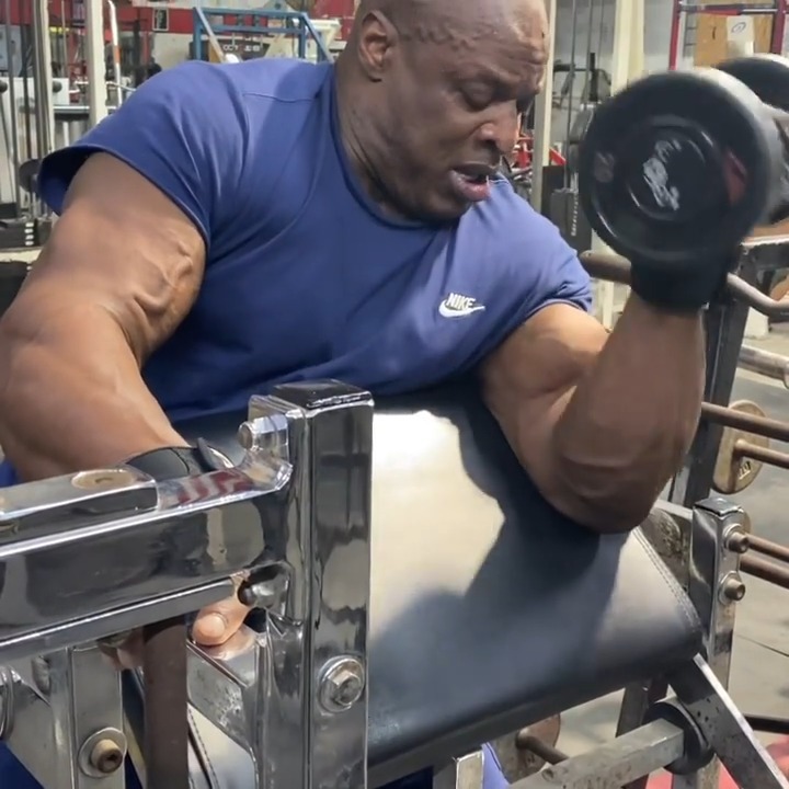 罗尼最新进展,探讨发展与进步的盛会