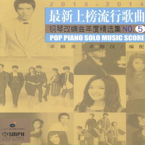 时代旋律与文化印记,2013最新歌曲回顾