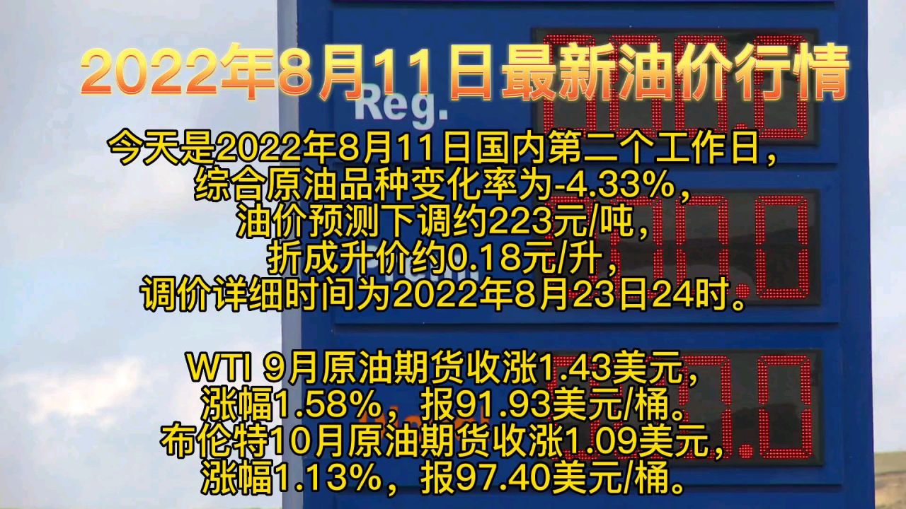 温馨日常奇遇记，11日的欢笑与奇遇