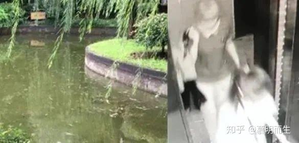 杭州失踪事件最新进展,寻找内心平静的旅行冒险之旅