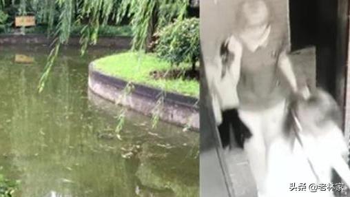 杭州女子失踪最新进展与小巷神秘特色小店探秘