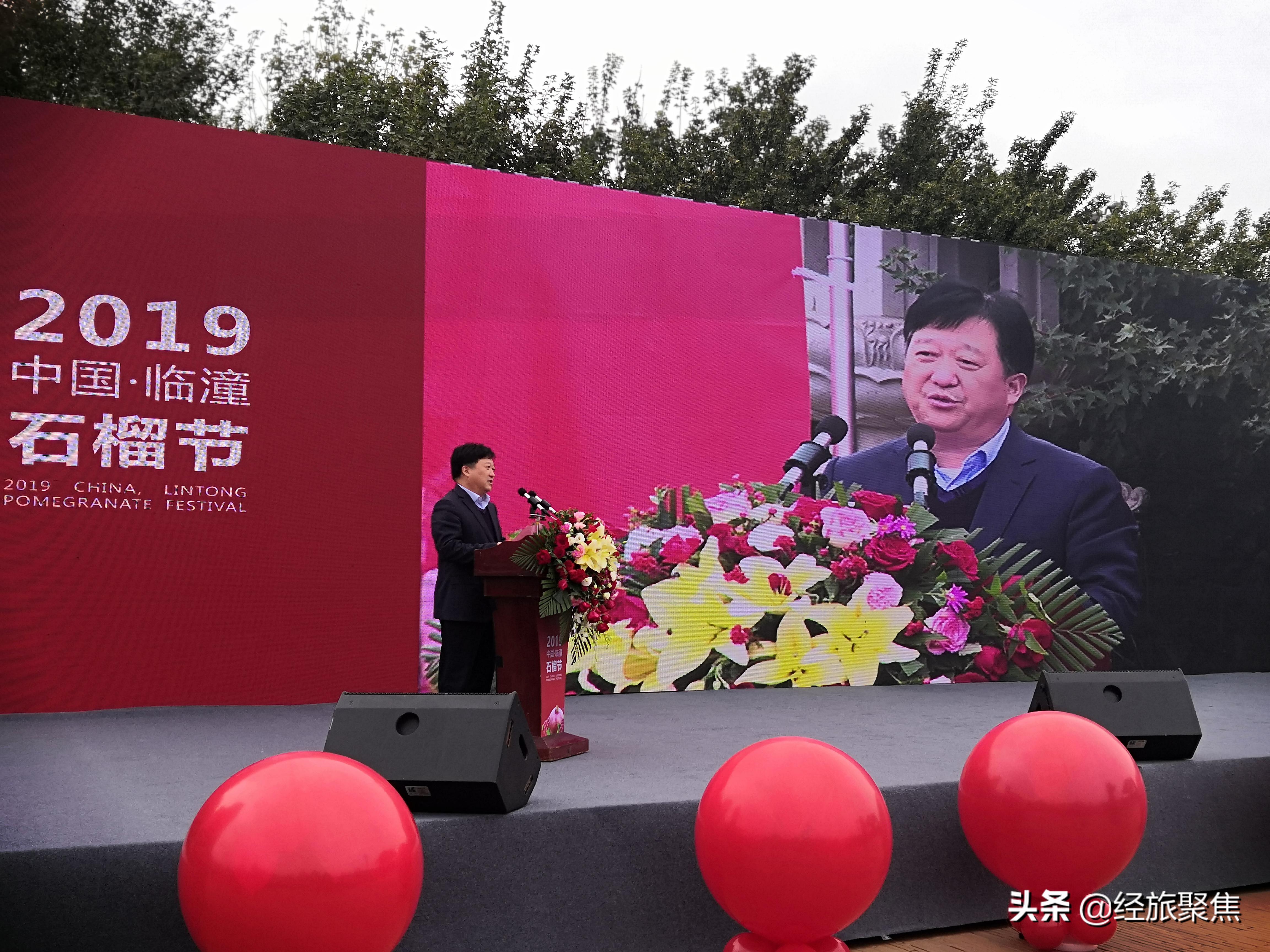 临潼房屋最新出售，小巷深处的秘密宝藏，独特环境惊喜连连
