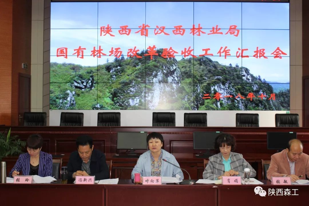 陕西国有林场改制最新步骤指南