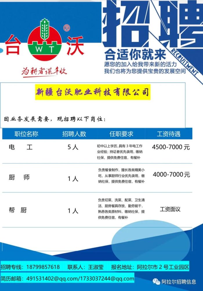 河南伊利最新招聘及步骤指南