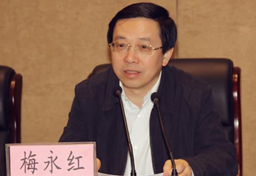 罗黎明最新职务去向揭秘，职务变动全解析